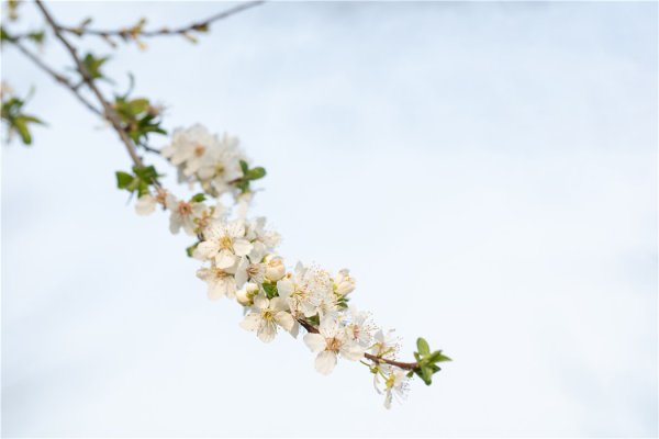 福牛财经 十二星座运势查询2025.10.11